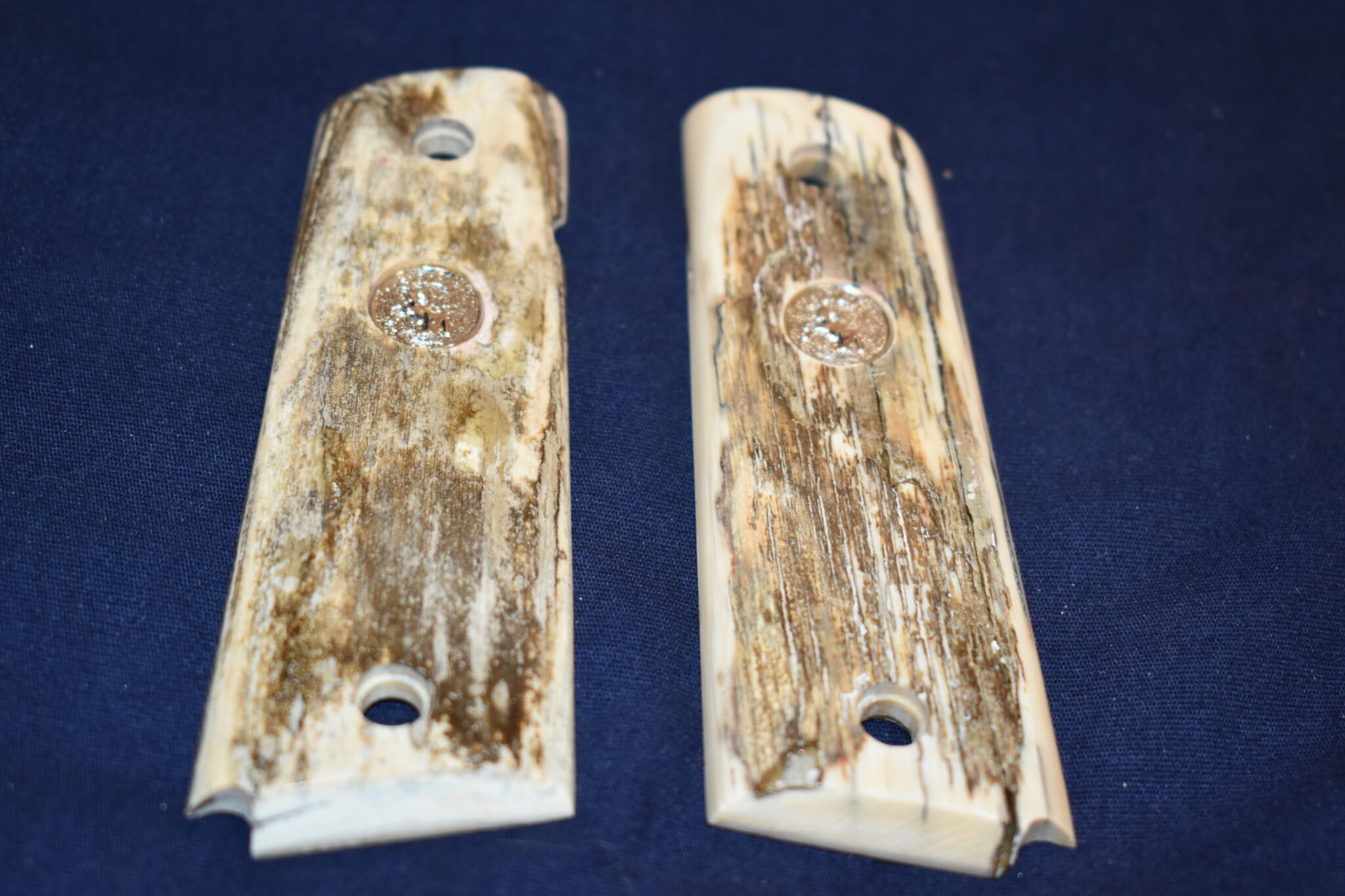 COLT 1911 MAMMOTH IVORY GRIPS 1911MI17 - Image 2
