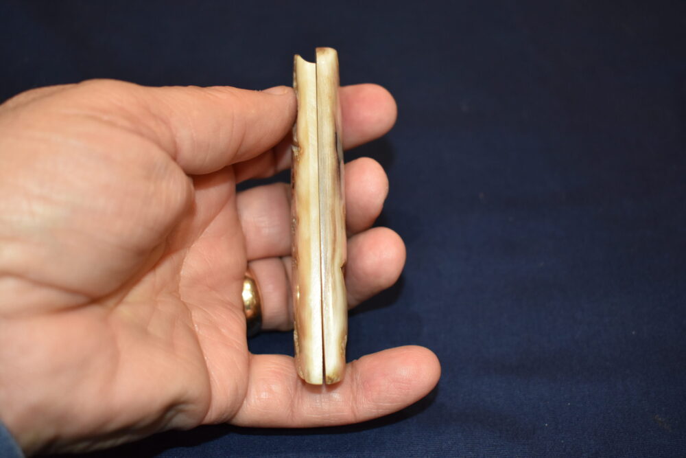 COLT 1911 OFFICER'S MODEL RAMS HORN GRIPS 1911OMRH1 - Image 5