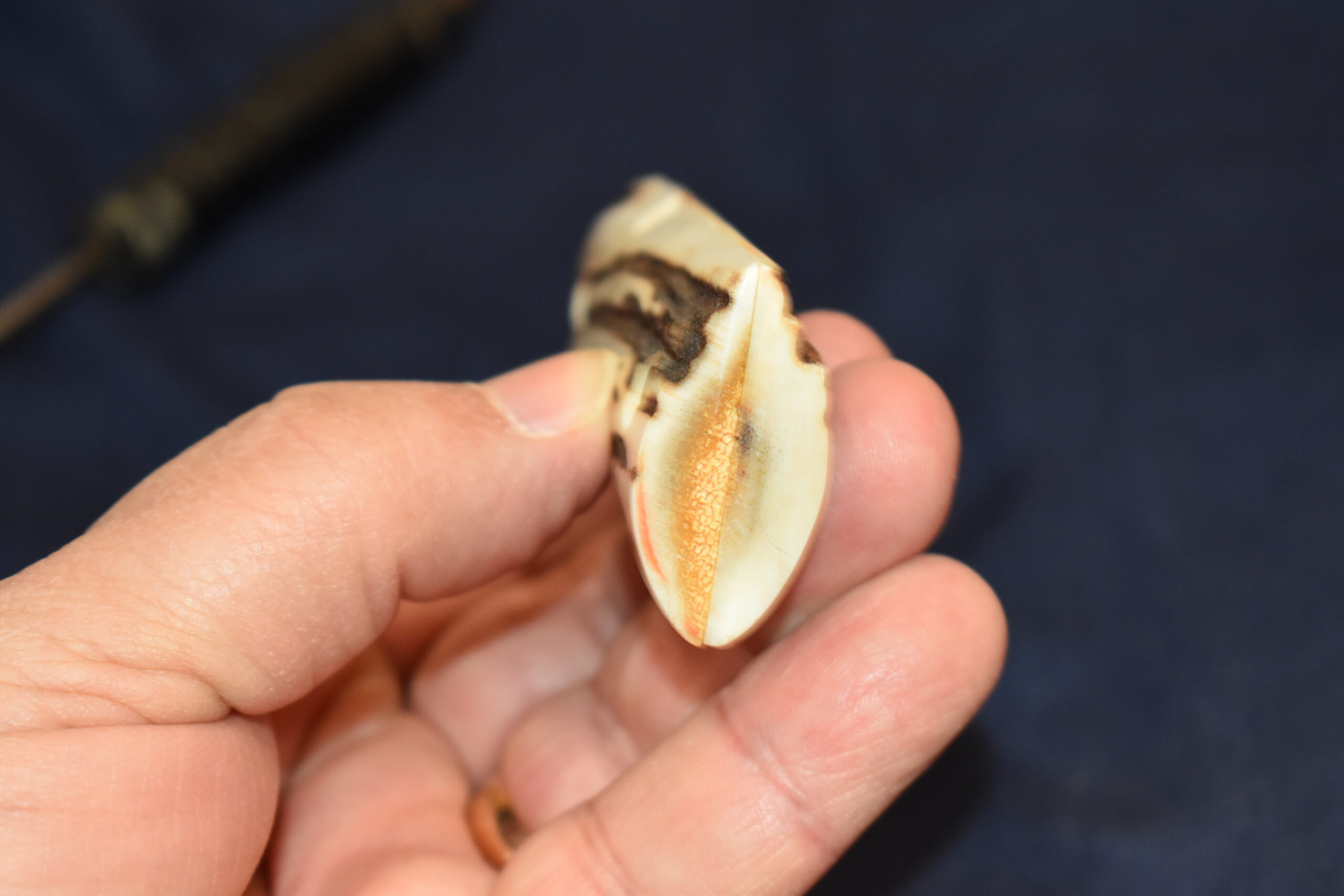 Colt MUSTANG .380 Sambar Stag grips SS380M2 - Image 10