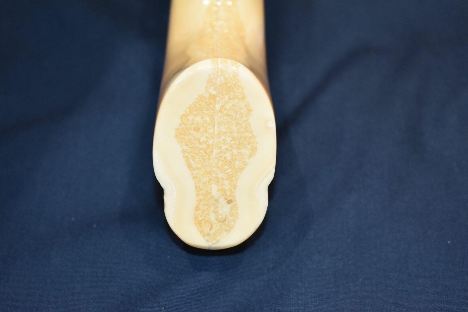 COLT PYTHON FOSSILIZED WALRUS IVORY GRIPS CPWIT1 - Image 10